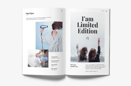 Journal